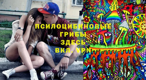 мет Арсеньев