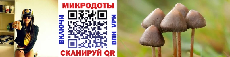 Галлюциногенные грибы прущие грибы  Ахтубинск 