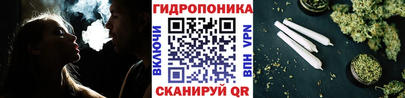 Конопля ГИДРОПОН  Ахтубинск 